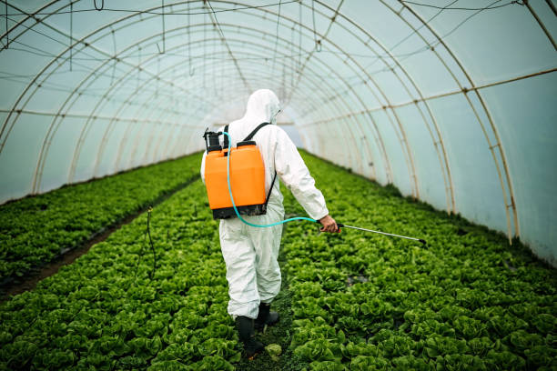  Trabuco Nyon, CA Pest Control Pros