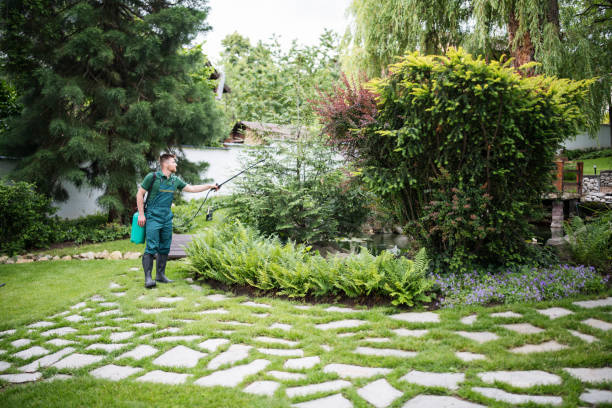 Best Pest Removal Services  in Trabuco Nyon, CA