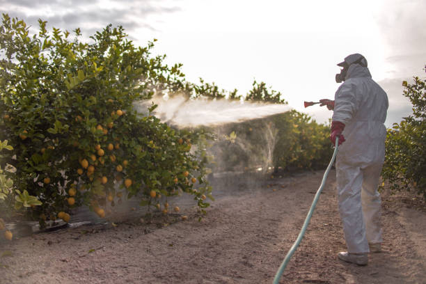 Best Wildlife Control Services  in Trabuco Nyon, CA