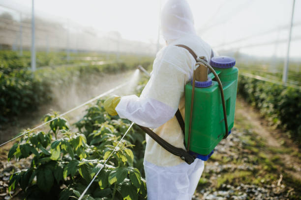 Best Pest Inspection Near Me  in Trabuco Nyon, CA